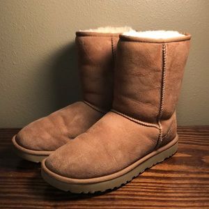 UGG Classic Short Boot /Sheepskin & Suede Care Kit